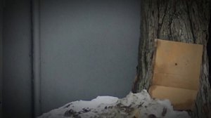 ПСП Пистолет Корсар : Тема об уходе стп после разборки