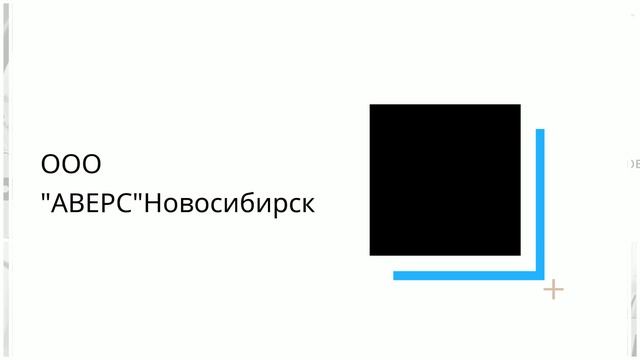 ООО "АВЕРС"Новосибирск - Накидки для сидений "Статус 12" смотреть онлайн