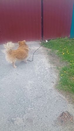 Где-то в России!!!