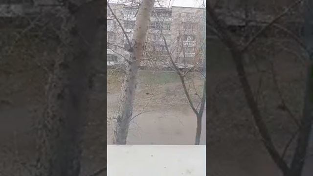 Пасхальный полдень. Чуть телефон не накрылся. смотреть онлайн