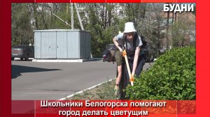 Школьники Белогорска помогают в благоустройстве города
