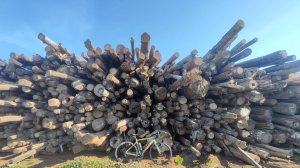 Наб.Челны Нижнекамс Наб.Челны