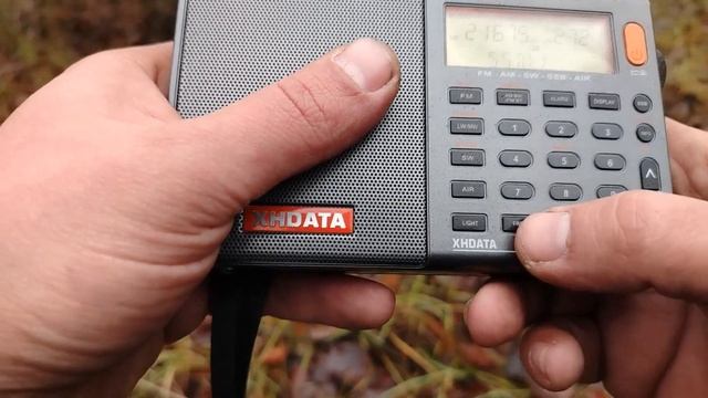 TECSUN PL-330 vs. XHDATA D-808. Приём в лесу смотреть онлайн