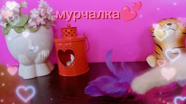Вислоухие котята от Алисы Краснодар🤗