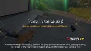 Этот Дуа изменит вашу жизнь богатство, деньги, успех, у