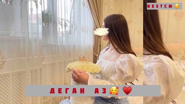 Прекрасная Петимат Еснакаева Деган Аз😻🥰 смотреть онлайн