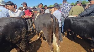 4 мая 2025 Г.МОЛБОЗОРИ Ш ХУЧАНД ХУДЖАНД ТОЖИКИСТОН molbozor