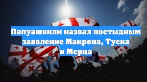 Папуашвили назвал постыдным заявление Макрона, Туска и Мерца