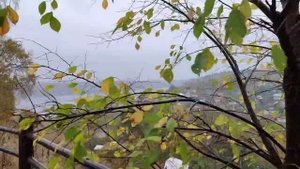 Плес осенью очень красив