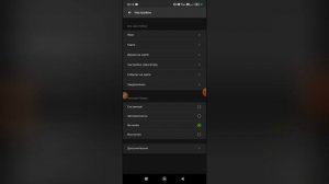 Как включить ночной режим в 2Гис? Как поменять тему в д?