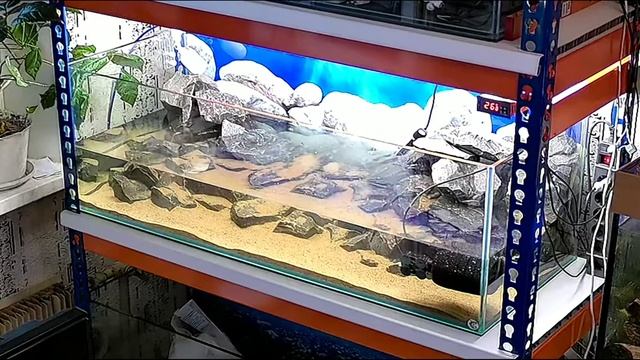 Стойка с ip камеры смотреть онлайн