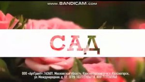 Рекламный Блок (Жара TV 08.08.2019)