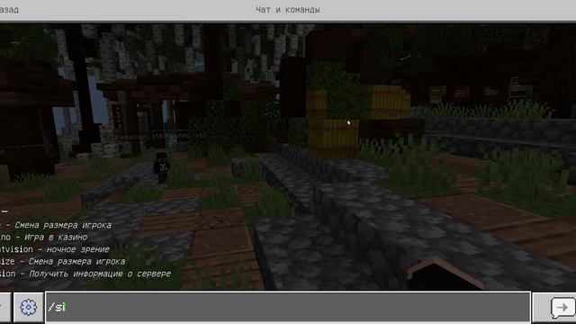 ЛУЧШИЙ СЕРВЕР Minecraft PE 1.21 - БЕЗ XBOX смотреть онлайн