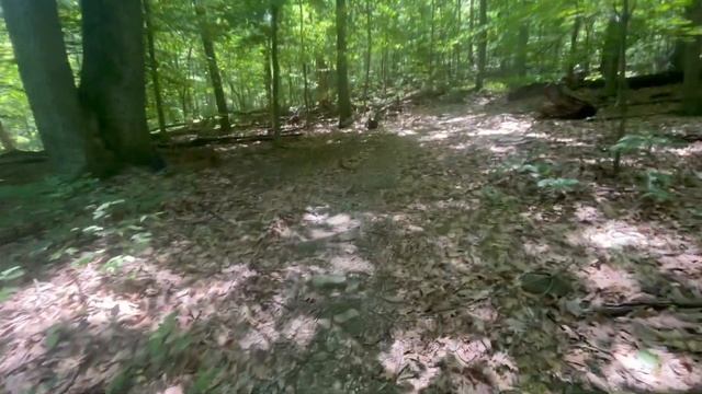 Поход в горы с детьми/ В Аппалачи с детьми/ Голубые гор? смотреть онлайн