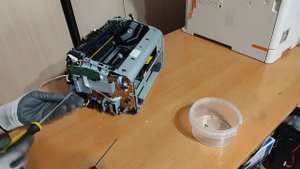 Первичная Диагностика HP LaserJet Pro P1102s / Пробег / Разборка