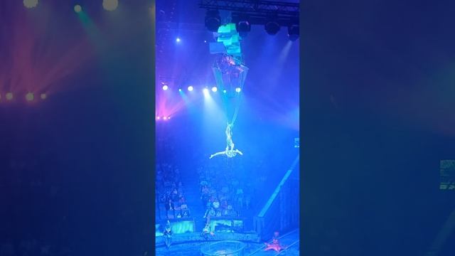 Поражающий воображение номер Золотые рыбкиШоу 5 континентов