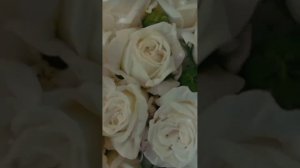 Шатун — С чистого листа. В сети!