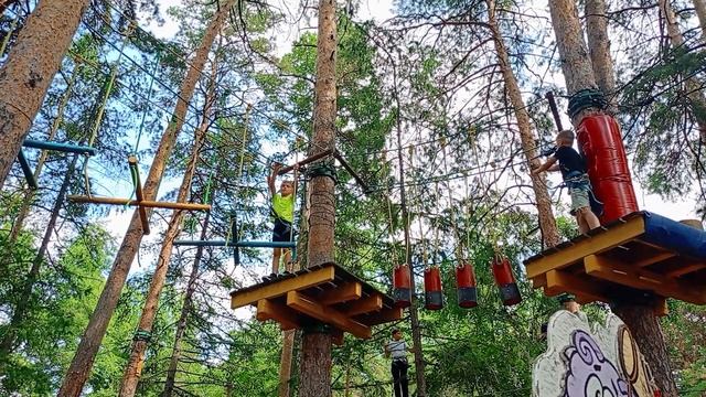 Смельчаки на деревьях в Челябе
