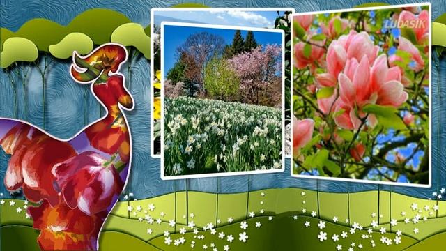 Весны прекрасные моменты смотреть онлайн