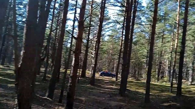 Hatsan Flash W 6.35 Альфа М-образные нарезы? смотреть онлайн