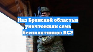 Над Брянской областью уничтожили семь беспилотников ВСУ