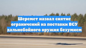 Шеремет назвал снятие ограничений на поставки ВСУ дальнобойного оружия безумием