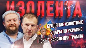 Бродячие животные, удары по Украине и новые заявления Трампа | Пётр Лидов и Трофим Татаренков
