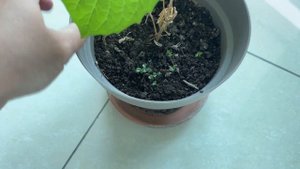 Собираю Чемодан.Что С Ним Не Так.Еда В Дорогу Беру С Со?