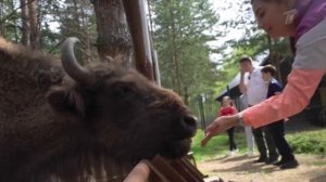 Экотуризм: национальные парки приглашают. Доброе утро. Фрагмент выпуска от 22.05.2025