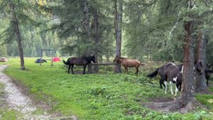 Места силы Бурятии/Хойто-Гол