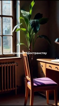 copy_3907348D-9715-44F5-B9DA-DC7A2AC50D09