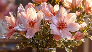 Встречаем лето 2025 с улыбками! ☀️ 1 июня – День защиты детей и солнца! #летопришло