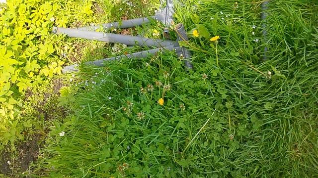 1000018021.mp4 смотреть онлайн