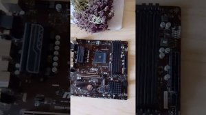 MSI B350M PRO-VDH: как котики двигают IT - индустрию ;)