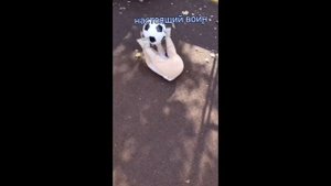 Какая у нас дочь? 🫶❤️ #аутизм