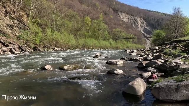 Муж пропал из дома с вещами, телефон не отвечает. Что с? смотреть онлайн