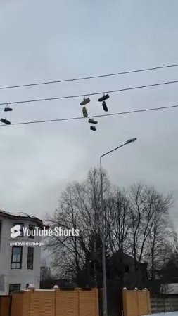 #Shorts#Юмористы#Поздравили