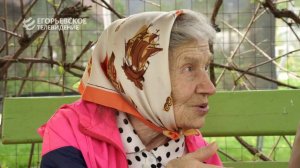 Репортаж о труженице тыла и ветеране педагогического труда Валентине Сергеевне Беловой.