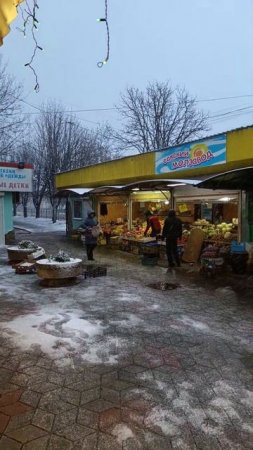 Крым / Утро после урагана / Симферополь