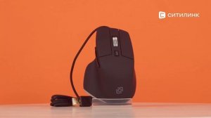 Обзор Мыши Oklick 503M | Ситилинк