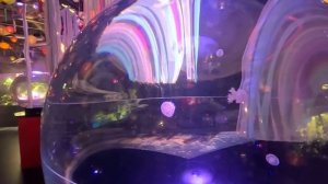 Прогулка по Токио, статуя свободы