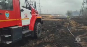 В Курганской области за выходные ликвидировали 13 ландшафтных пожаров март 2025