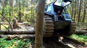 Вездеходы висят на деревьях Поездка по лайту