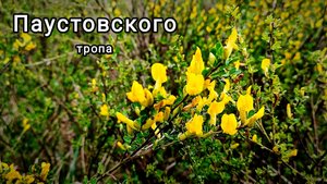 Тропа Паустовского. Часть 5