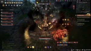 Фармим ИБЕДОР в Black Desert.Тест 10 свитков(25мин)