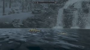 Skyrim. Треска плавает в воздухе