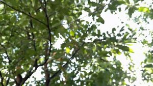 Теплая осень: Погода в Ташкенте 15 сентября 2024