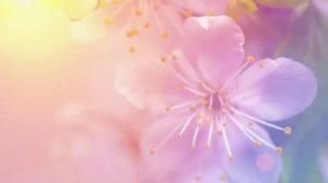 Расслабляющая музыка для нервов 🌿 Успокаивающая музыка, лечебная для сердца и кровеносных сосудов