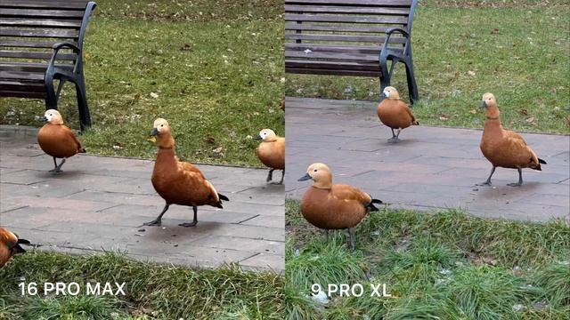 ЛУЧШИЙ КАМЕРАФОН НА ANDROID! Google Pixel 9 Pro XL! Это реально лучш смотреть онлайн