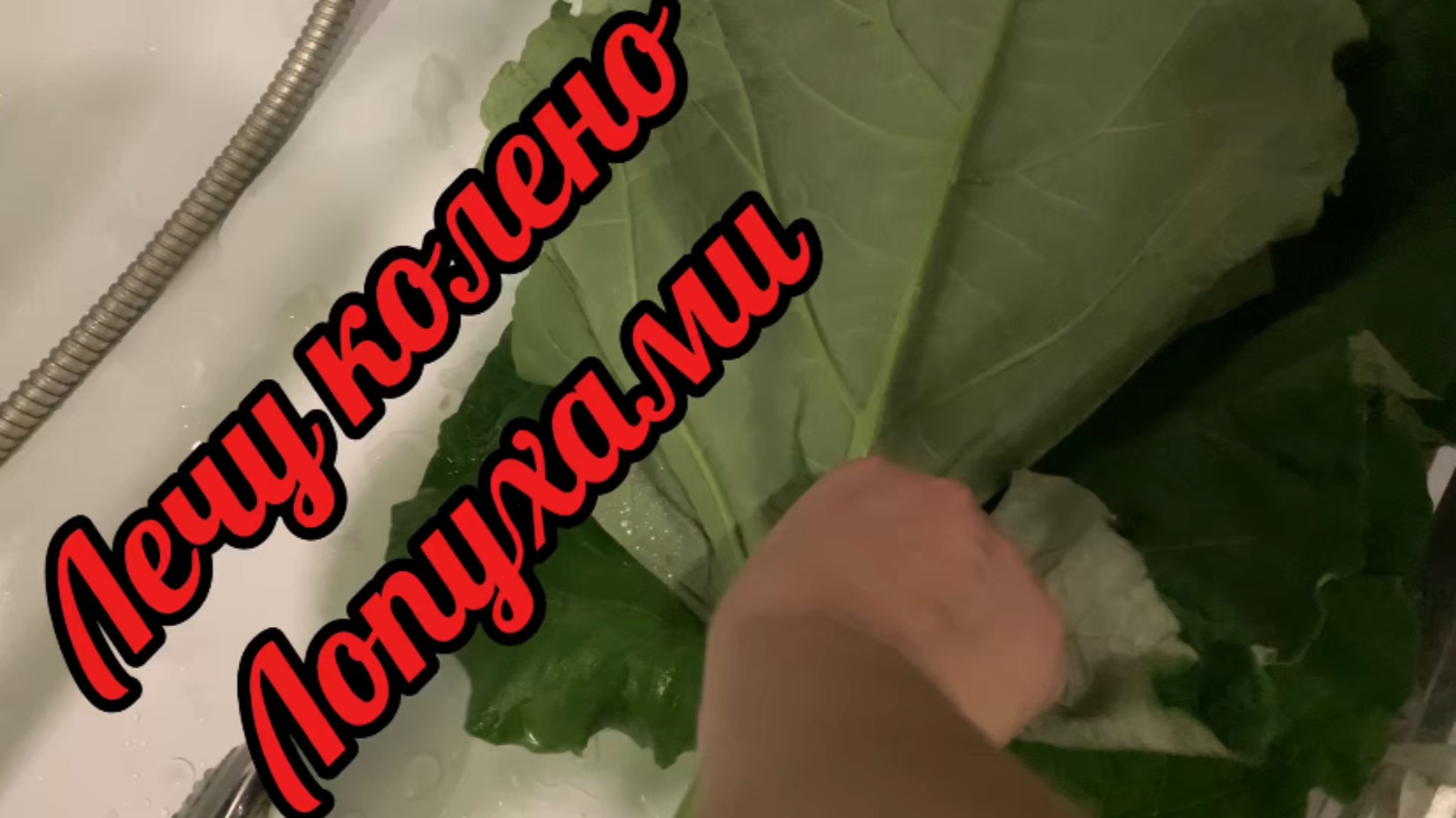Лечу колено лопухом‼️Готовим ЧЕБУРЕКИ❗️рецепт теста в видео!Пальчики оближешь!!!😋🌹